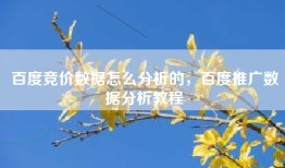 百度竞价数据怎么分析的，百度推广数据分析教程