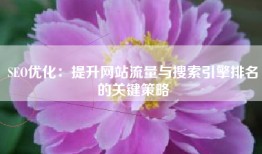 SEO优化：提升网站流量与搜索引擎排名的关键策略