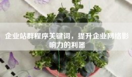 企业站群程序关键词，提升企业网络影响力的利器