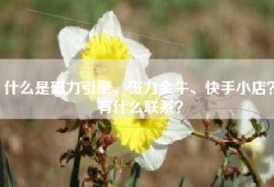 什么是磁力引擎、磁力金牛、快手小店？有什么联系？