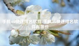手机seo快速排名软件-手机seo快速排名软件有哪些