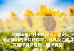 내가 거짓말을하지 않아도,당신이 존경 감사~~지원 주셔서 감사합니다,그렇게해볼 게요 的翻译是：并不是谎言，谢谢 ~ ~ 谢谢你们的支持和尊重，所以我会试 中文翻译英文意思，翻译英语