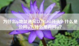 为什么ip地址通常以192.168开头？什么是公网ip？什么是内网ip？