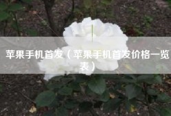 苹果手机首发（苹果手机首发价格一览表）