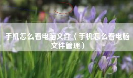 手机怎么看电脑文件（手机怎么看电脑文件管理）