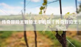 传奇冒险王冒险王手机版「传奇冒险王」