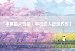 手机最大音量（手机最大音量多少）