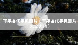 苹果各代手机图片（苹果各代手机图片大全大图）