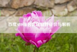 百度SEO排名优化软件评价与解析