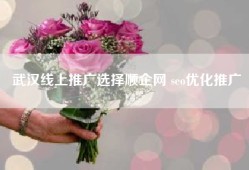 武汉线上推广选择顺企网 seo优化推广