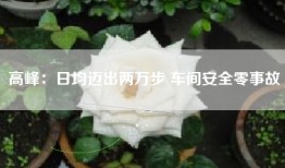 高峰：日均迈出两万步 车间安全零事故