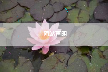 网站声明