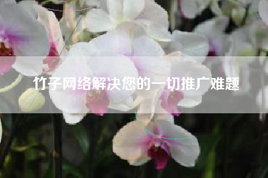 竹子网络解决您的一切推广难题