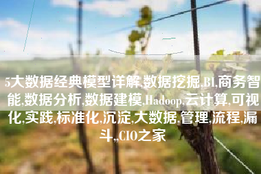 5大数据经典模型详解,数据挖掘,BI,商务智能,数据分析,数据建模,Hadoop,云计算,可视化,实践,标准化,沉淀,大数据,管理,流程,漏斗,,CIO之家