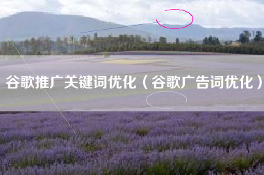 谷歌推广关键词优化（谷歌广告词优化）