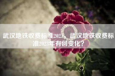 武汉地铁收费标准2023，武汉地铁收费标准2023年有何变化？