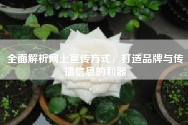 全面解析网上宣传方式，打造品牌与传播信息的利器