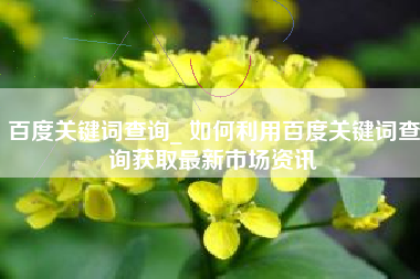 百度关键词查询_ 如何利用百度关键词查询获取最新市场资讯
