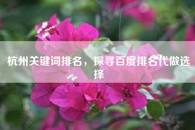 杭州关键词排名，探寻百度排名代做选择