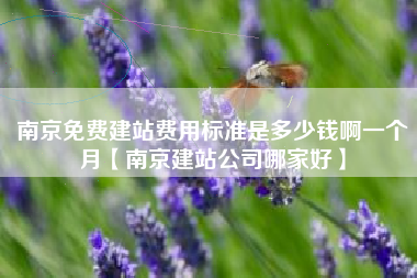 南京免费建站费用标准是多少钱啊一个月【南京建站公司哪家好】