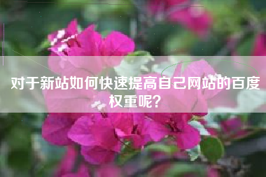 对于新站如何快速提高自己网站的百度权重呢？
