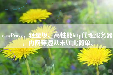 easyProxy，轻量级、高性能http代理服务器，内网穿透从未如此简单。