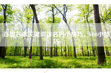 百度谷歌关键词排名的小技巧，SEO小技巧