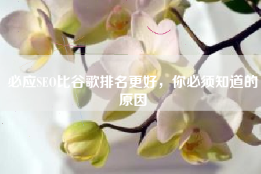 必应SEO比谷歌排名更好，你必须知道的原因