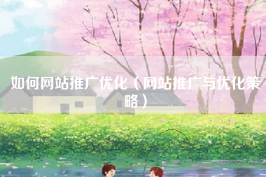 如何网站推广优化（网站推广与优化策略）