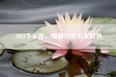 2024下半年，母婴行业五大趋势