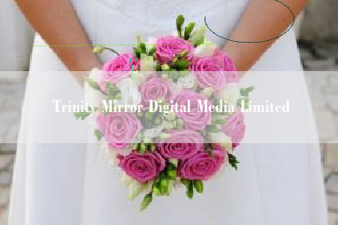 Trinity Mirror Digital Media Limited