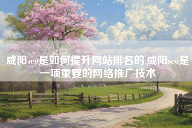 咸阳seo是如何提升网站排名的,咸阳seo是一项重要的网络推广技术