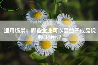 适用场景：哪些企业可以受益于成品视频CRM999？