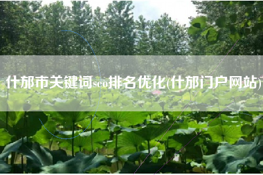 什邡市关键词seo排名优化(什邡门户网站)