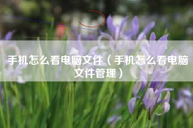 手机怎么看电脑文件（手机怎么看电脑文件管理）