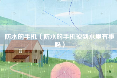 防水的手机（防水的手机掉到水里有事吗）