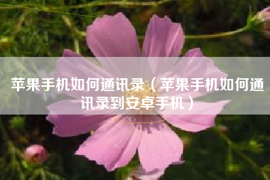 苹果手机如何通讯录（苹果手机如何通讯录到安卓手机）