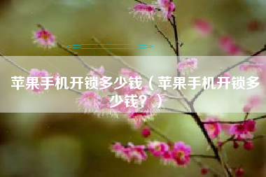 苹果手机开锁多少钱（苹果手机开锁多少钱？）