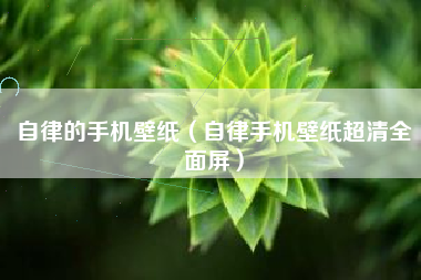 自律的手机壁纸（自律手机壁纸超清全面屏）