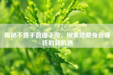 揭秘不露手直播手游，探索隐藏身份赚钱的新机遇
