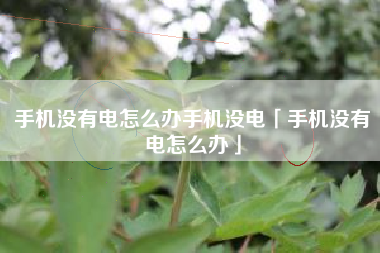 手机没有电怎么办手机没电「手机没有电怎么办」