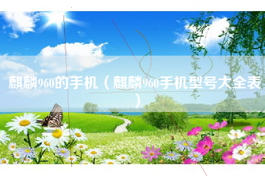 麒麟960的手机（麒麟960手机型号大全表）