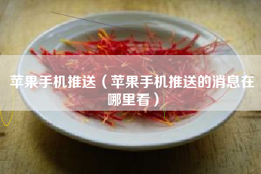苹果手机推送（苹果手机推送的消息在哪里看）