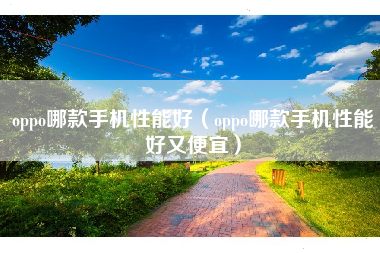 oppo哪款手机性能好（oppo哪款手机性能好又便宜）