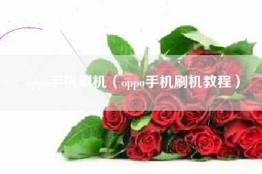 oppo手机刷机（oppo手机刷机教程）