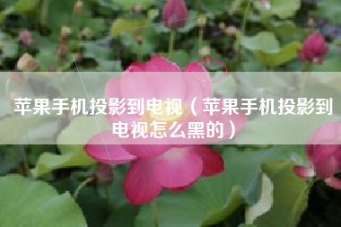 苹果手机投影到电视（苹果手机投影到电视怎么黑的）