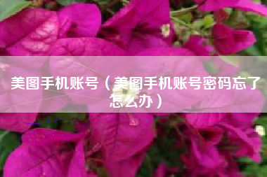 美图手机账号（美图手机账号密码忘了怎么办）