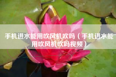手机进水能用吹风机吹吗（手机进水能用吹风机吹吗视频）