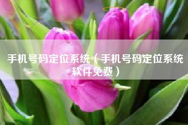手机号码定位系统（手机号码定位系统软件免费）