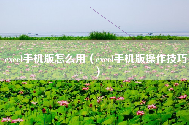 excel手机版怎么用（excel手机版操作技巧）